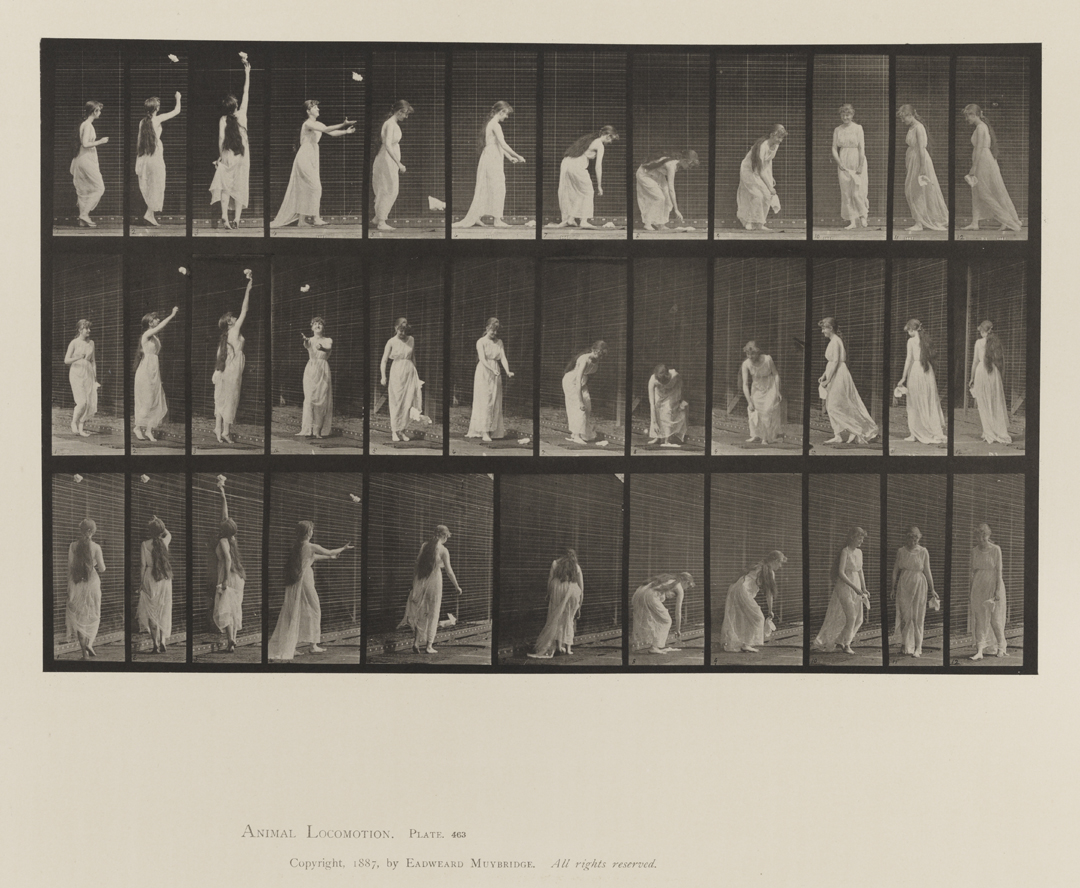 Animal Locomotion, Volume VI, Women (Semi-Nude and Transparent Drapery) and Children. Plate 463