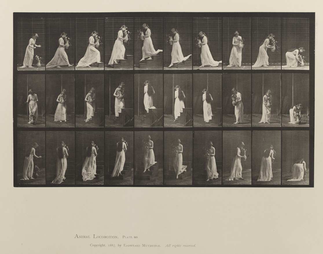 Animal Locomotion, Volume VI, Women (Semi-Nude and Transparent Drapery) and Children. Plate 515