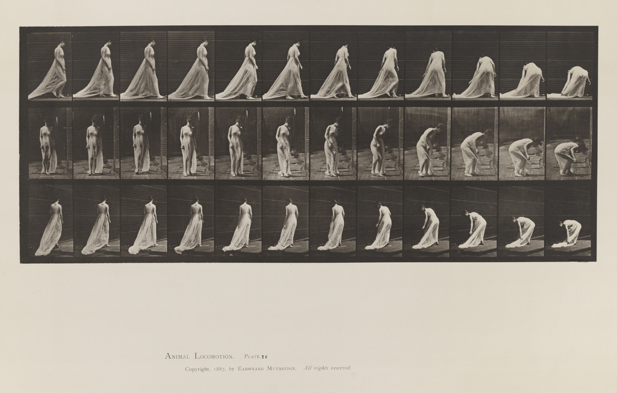 Animal Locomotion, Volume VI, Women (Semi-Nude and Transparent Drapery) and Children. Plate 56