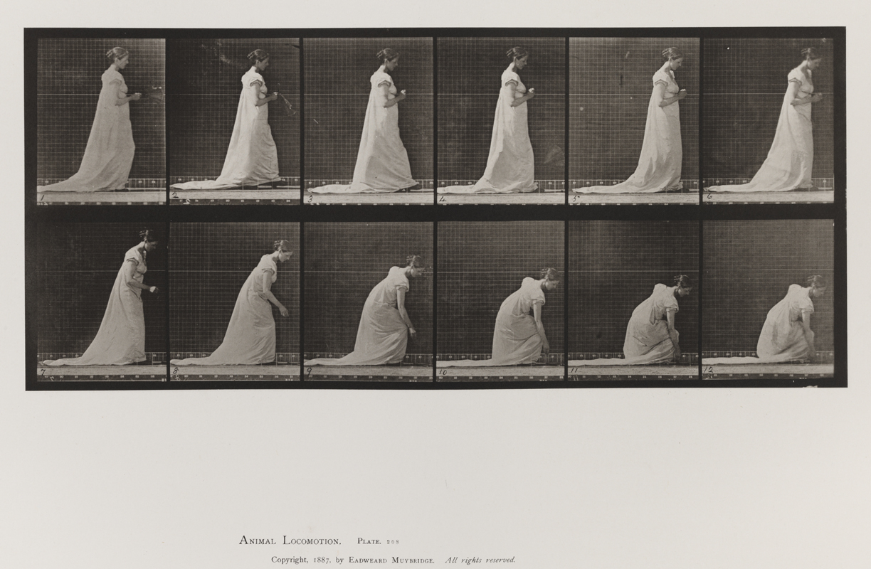 Animal Locomotion, Volume VII, Men and Woman (Draped), Miscellaneous Subjects. Plate 208