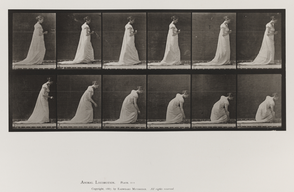 Animal Locomotion, Volume VII, Men and Woman (Draped), Miscellaneous Subjects. Plate 208