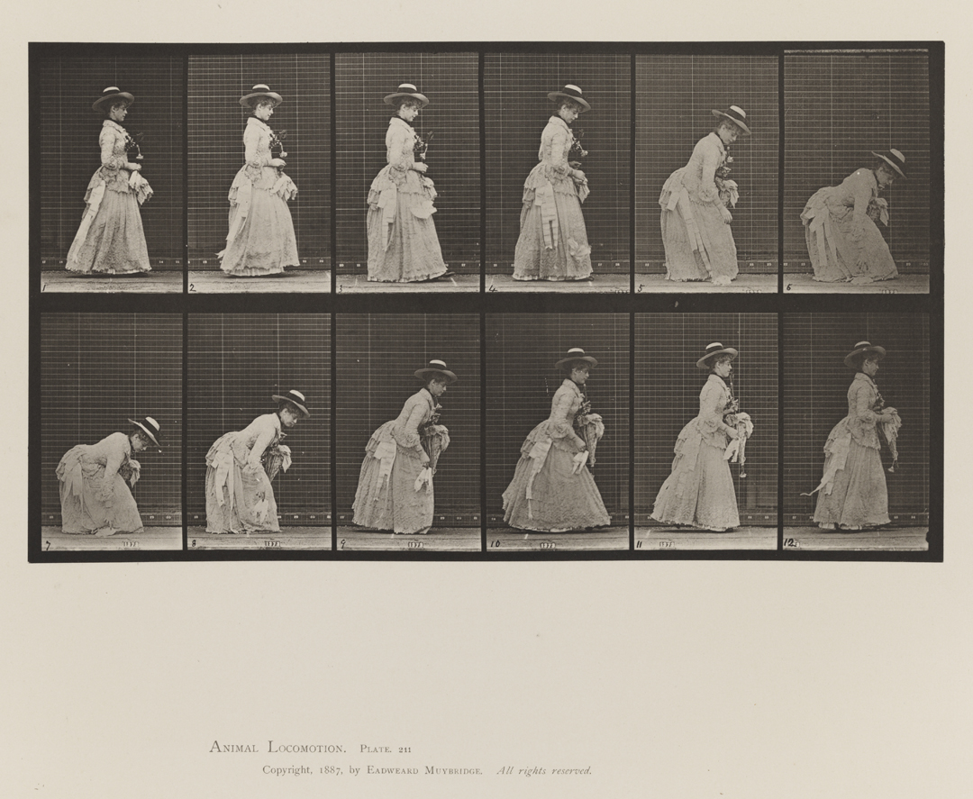 Animal Locomotion, Volume VII, Men and Woman (Draped), Miscellaneous Subjects. Plate 211