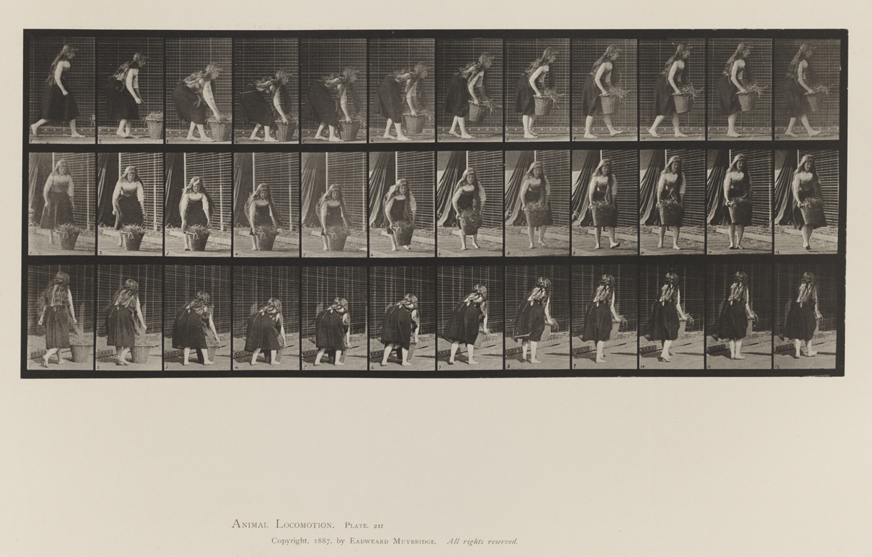 Animal Locomotion, Volume VII, Men and Woman (Draped), Miscellaneous Subjects. Plate 217