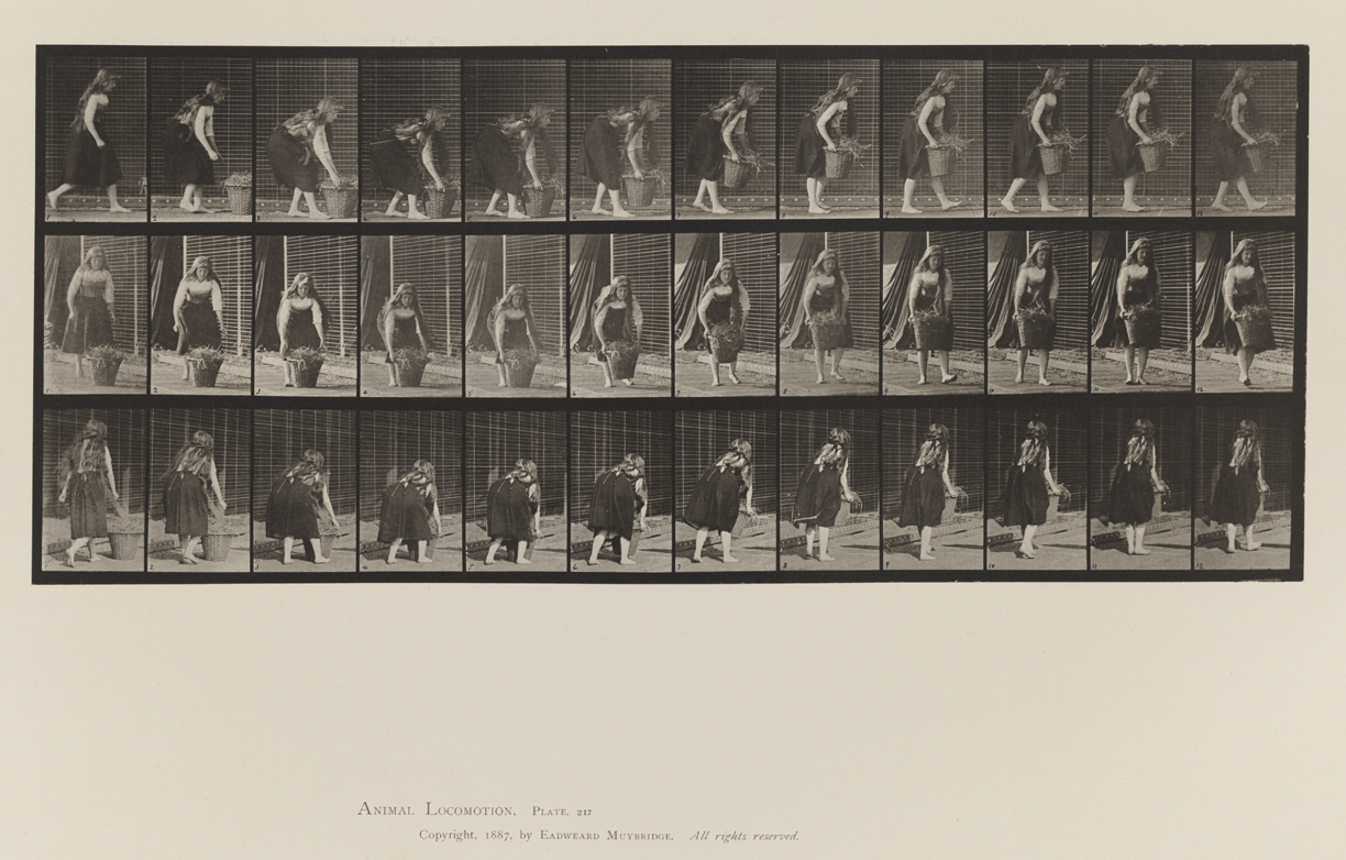 Animal Locomotion, Volume VII, Men and Woman (Draped), Miscellaneous Subjects. Plate 217