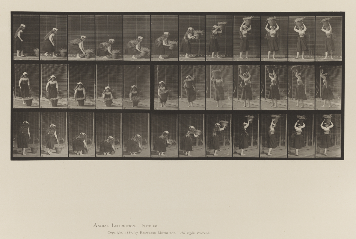 Animal Locomotion, Volume VII, Men and Woman (Draped), Miscellaneous Subjects. Plate 230