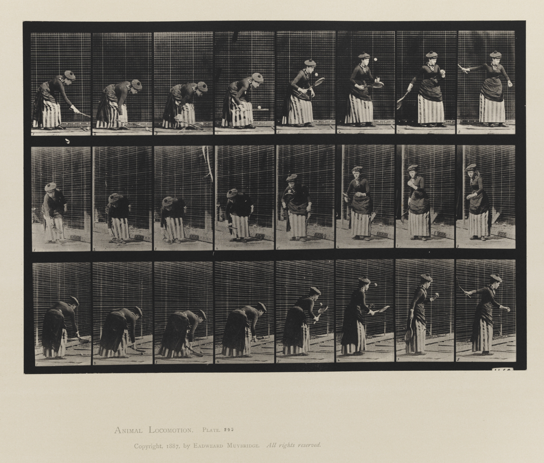 Animal Locomotion, Volume VII, Men and Woman (Draped), Miscellaneous Subjects. Plate 295