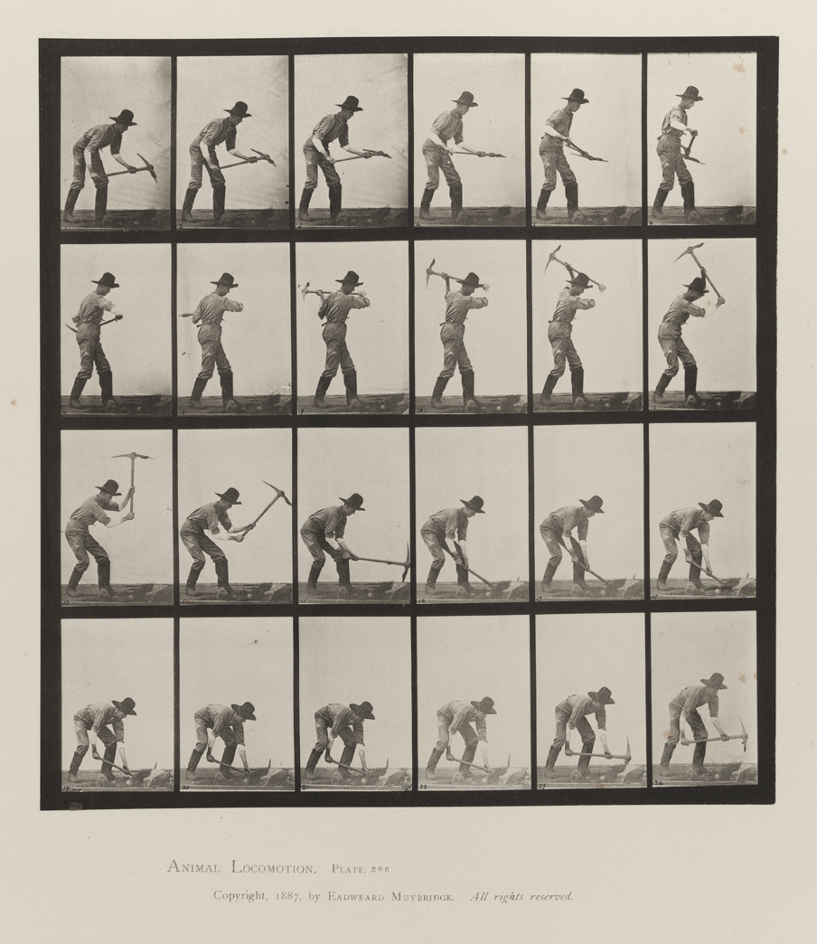Animal Locomotion, Volume VII, Men and Woman (Draped), Miscellaneous Subjects. Plate 386