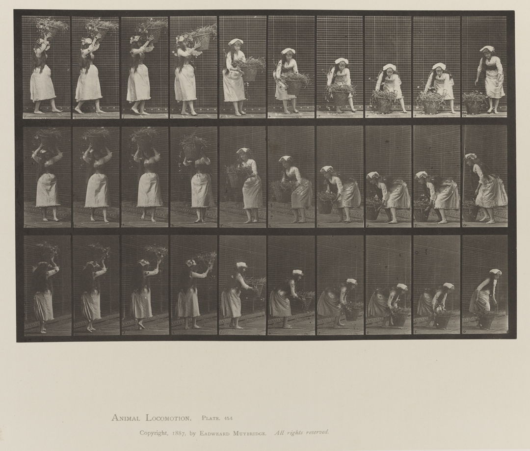 Animal Locomotion, Volume VII, Men and Woman (Draped), Miscellaneous Subjects. Plate 454