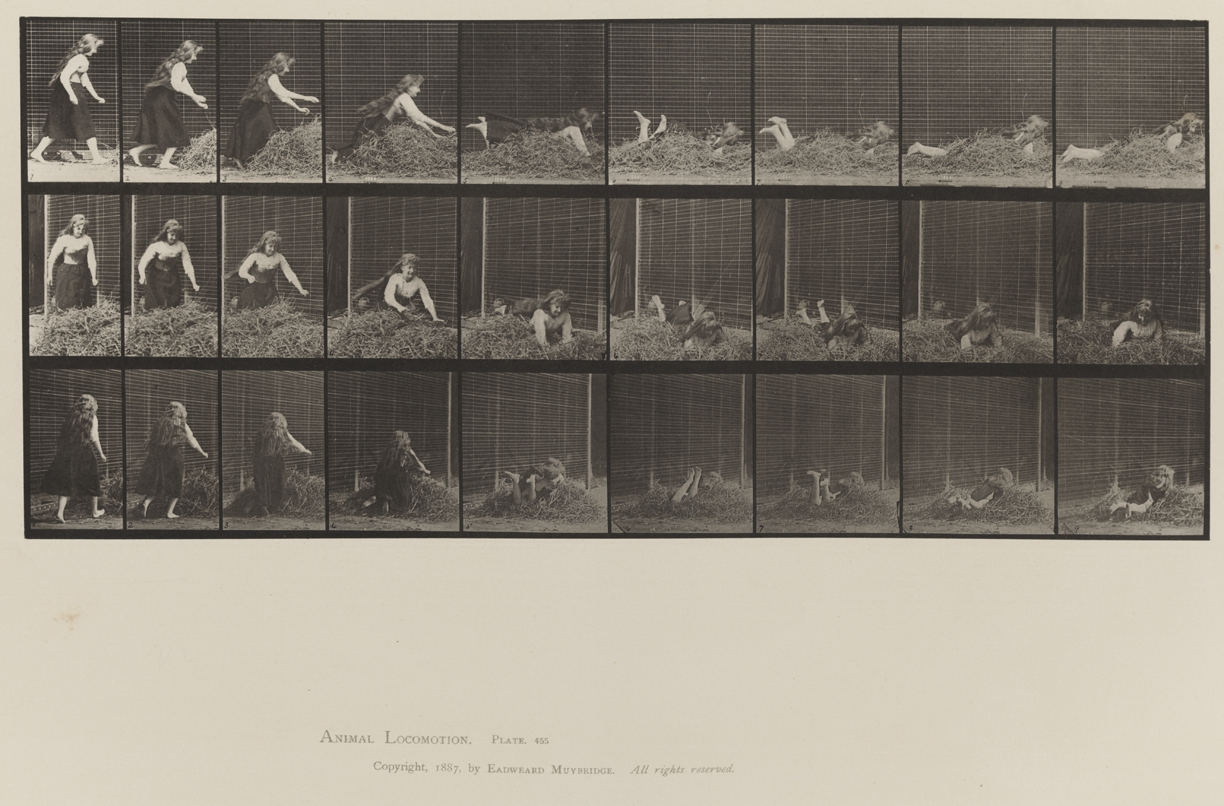 Animal Locomotion, Volume VII, Men and Woman (Draped), Miscellaneous Subjects. Plate 455