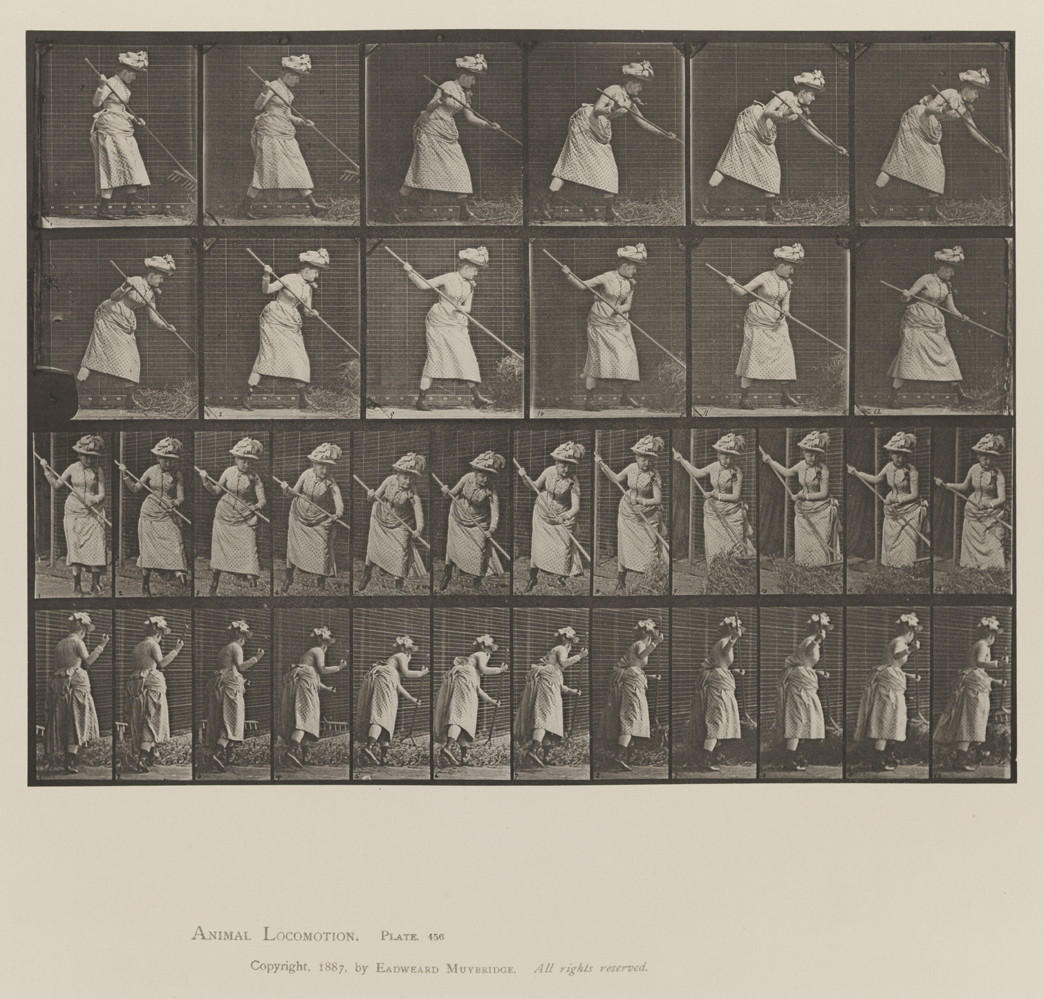 Animal Locomotion, Volume VII, Men and Woman (Draped), Miscellaneous Subjects. Plate 456