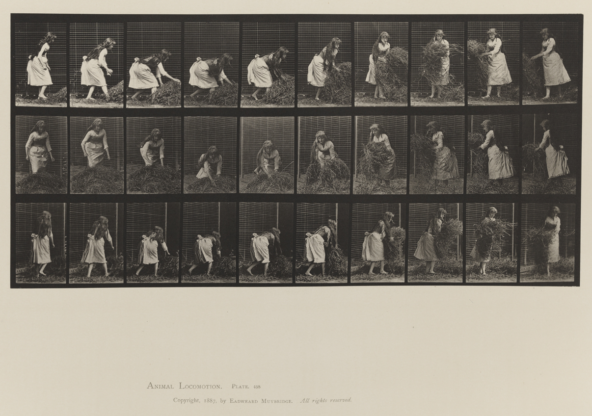Animal Locomotion, Volume VII, Men and Woman (Draped), Miscellaneous Subjects. Plate 458