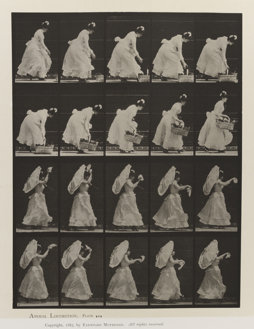 Animal Locomotion, Volume VII, Men and Woman (Draped), Miscellaneous Subjects. Plate 483