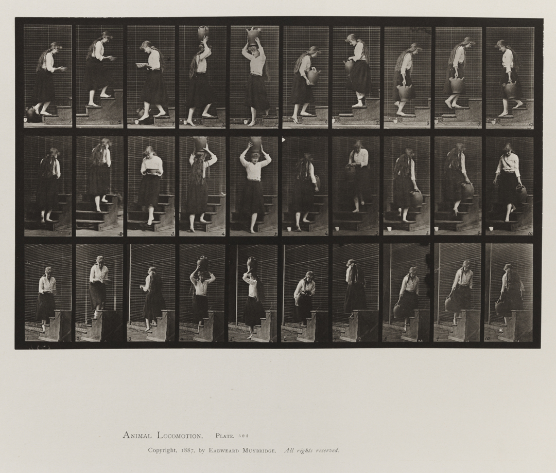 Animal Locomotion, Volume VII, Men and Woman (Draped), Miscellaneous Subjects. Plate 504