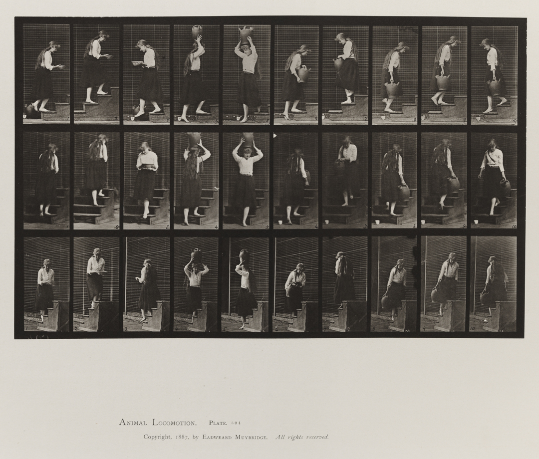 Animal Locomotion, Volume VII, Men and Woman (Draped), Miscellaneous Subjects. Plate 504