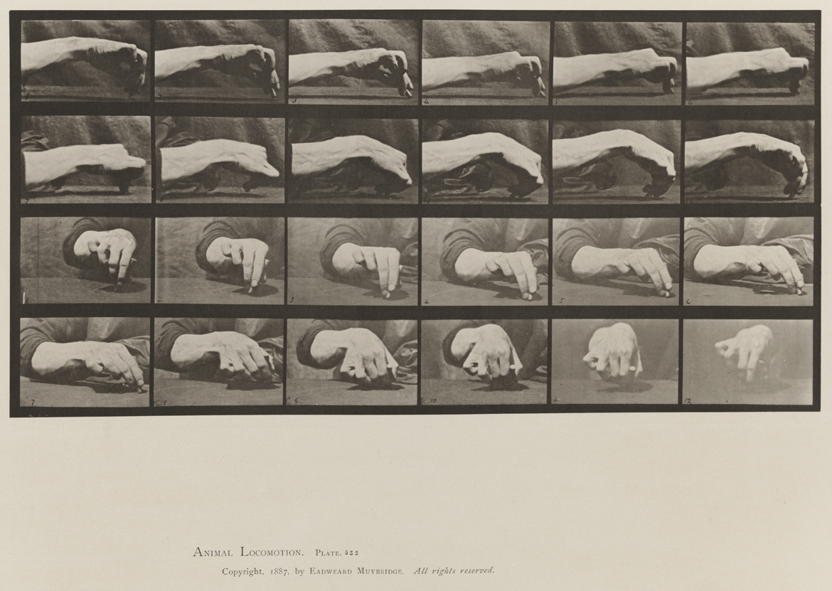 Animal Locomotion, Volume VII, Men and Woman (Draped), Miscellaneous Subjects. Plate 532
