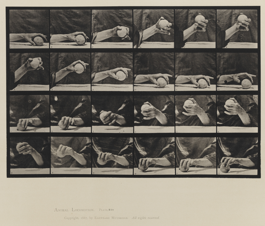 Animal Locomotion, Volume VII, Men and Woman (Draped), Miscellaneous Subjects. Plate 534