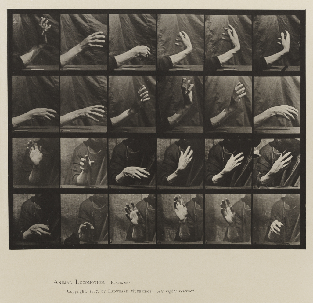 Animal Locomotion, Volume VII, Men and Woman (Draped), Miscellaneous Subjects. Plate 535