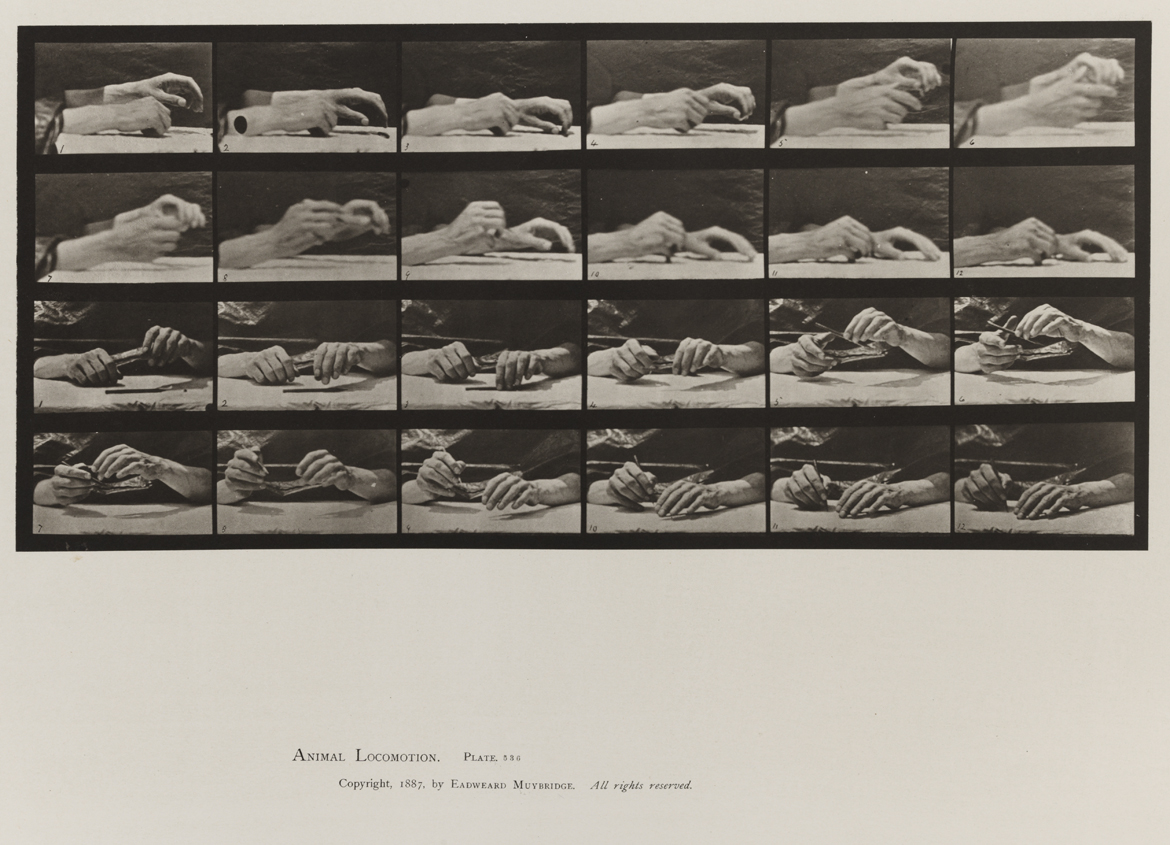 Animal Locomotion, Volume VII, Men and Woman (Draped), Miscellaneous Subjects. Plate 536