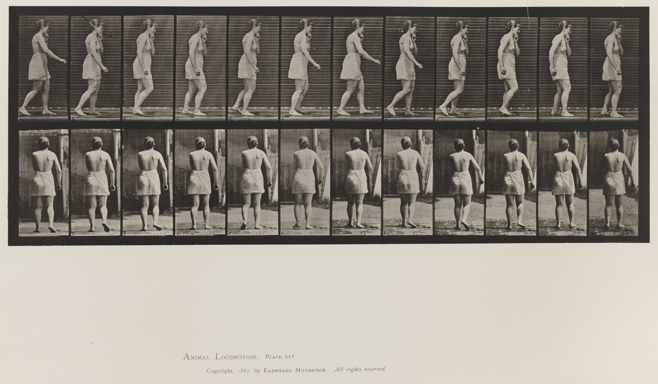 Animal Locomotion, Volume VIII, Abnormal Movements, Men and Women (Nude and Semi-Nude). Plate 543