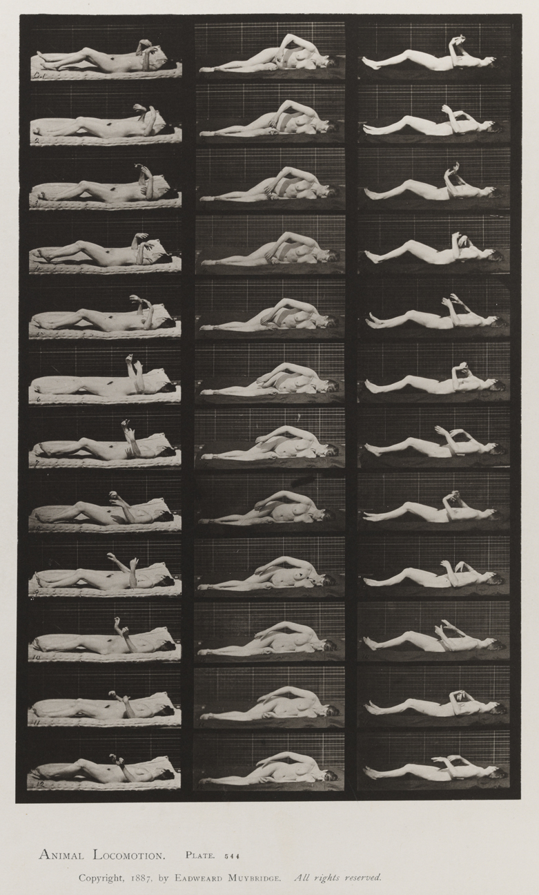 Animal Locomotion, Volume VIII, Abnormal Movements, Men and Women (Nude and Semi-Nude). Plate 544