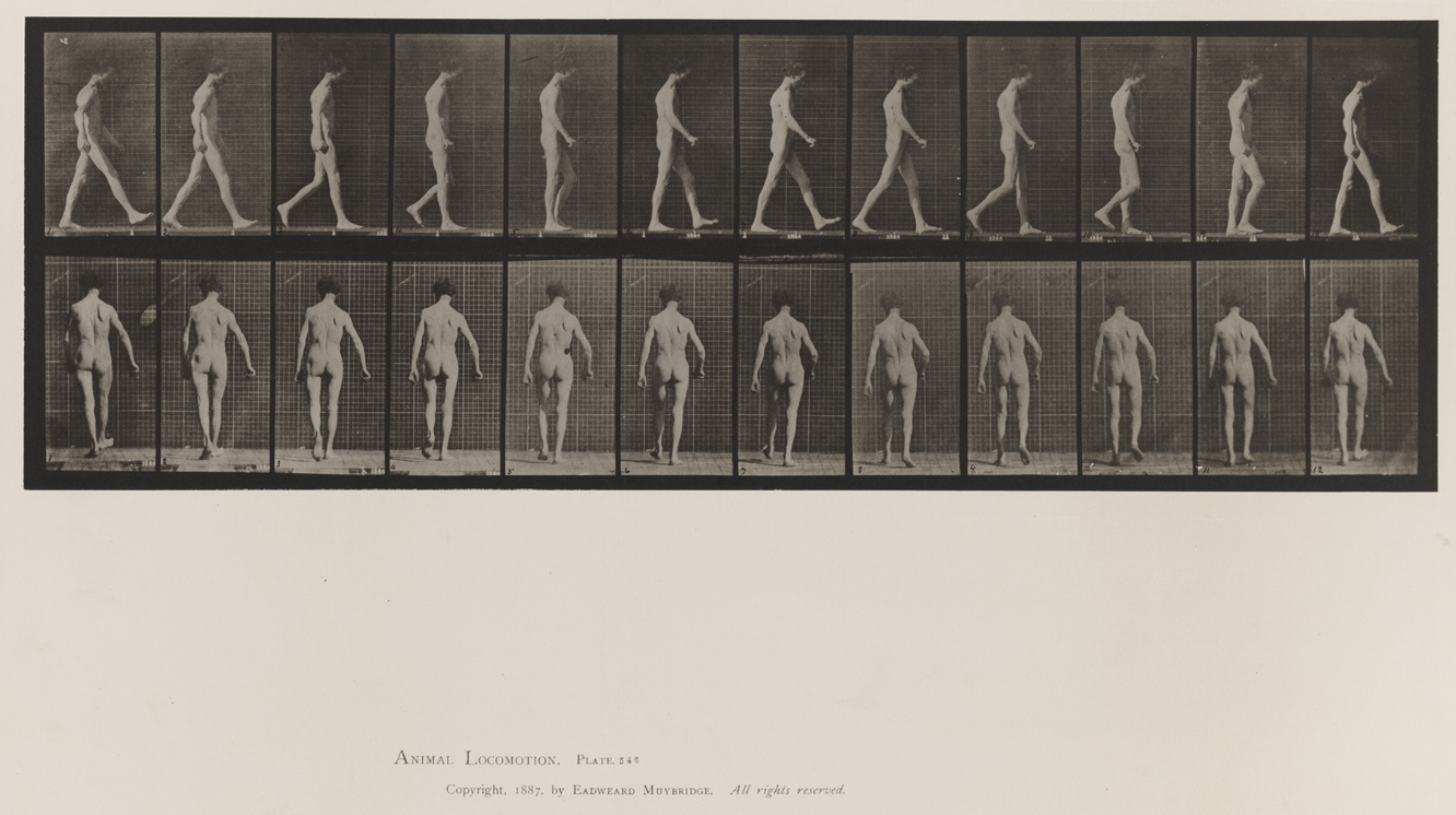 Animal Locomotion, Volume VIII, Abnormal Movements, Men and Women (Nude and Semi-Nude). Plate 546