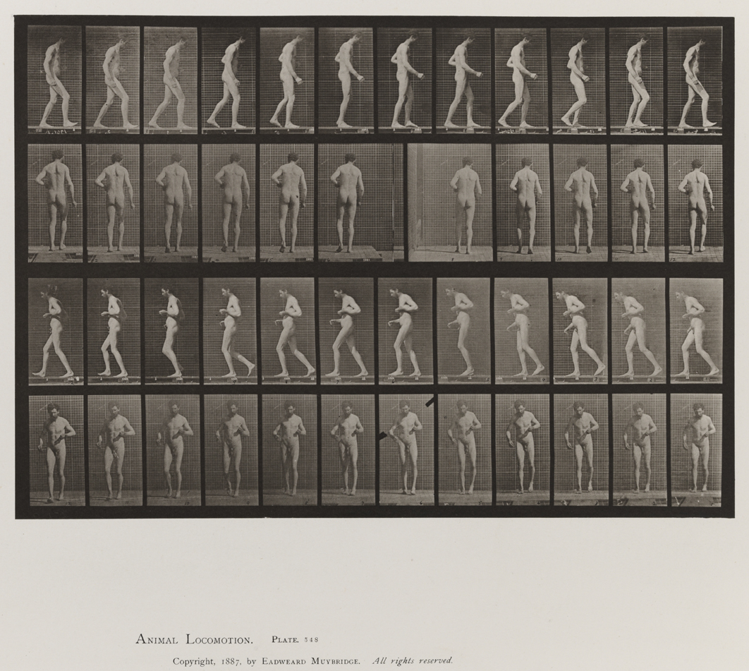 Animal Locomotion, Volume VIII, Abnormal Movements, Men and Women (Nude and Semi-Nude). Plate 548