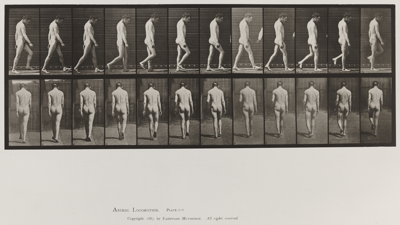 Animal Locomotion, Volume VIII, Abnormal Movements, Men and Women (Nude and Semi-Nude). Plate 549
