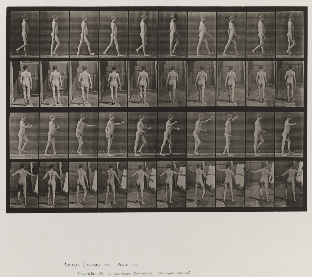 Animal Locomotion, Volume VIII, Abnormal Movements, Men and Women (Nude and Semi-Nude). Plate 550