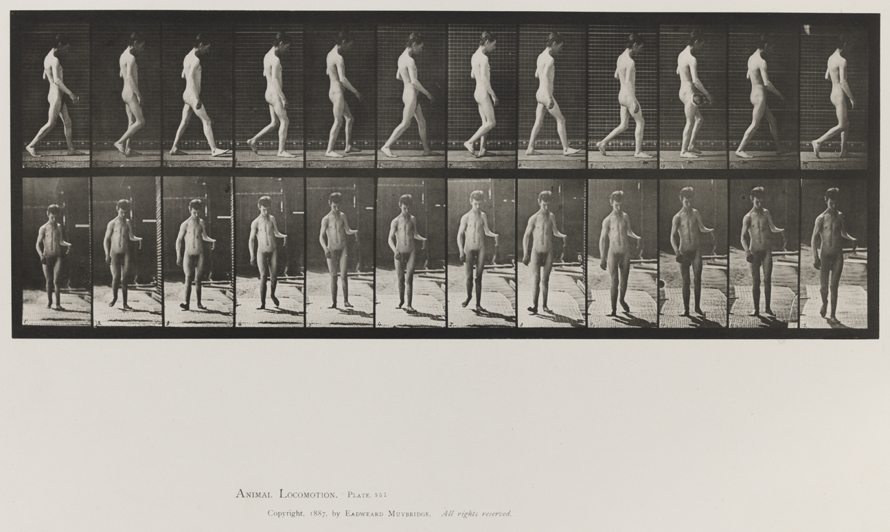 Animal Locomotion, Volume VIII, Abnormal Movements, Men and Women (Nude and Semi-Nude). Plate 551