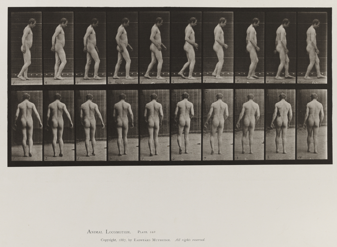 Animal Locomotion, Volume VIII, Abnormal Movements, Men and Women (Nude and Semi-Nude). Plate 553