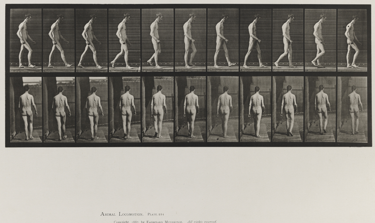 Animal Locomotion, Volume VIII, Abnormal Movements, Men and Women (Nude and Semi-Nude). Plate 554