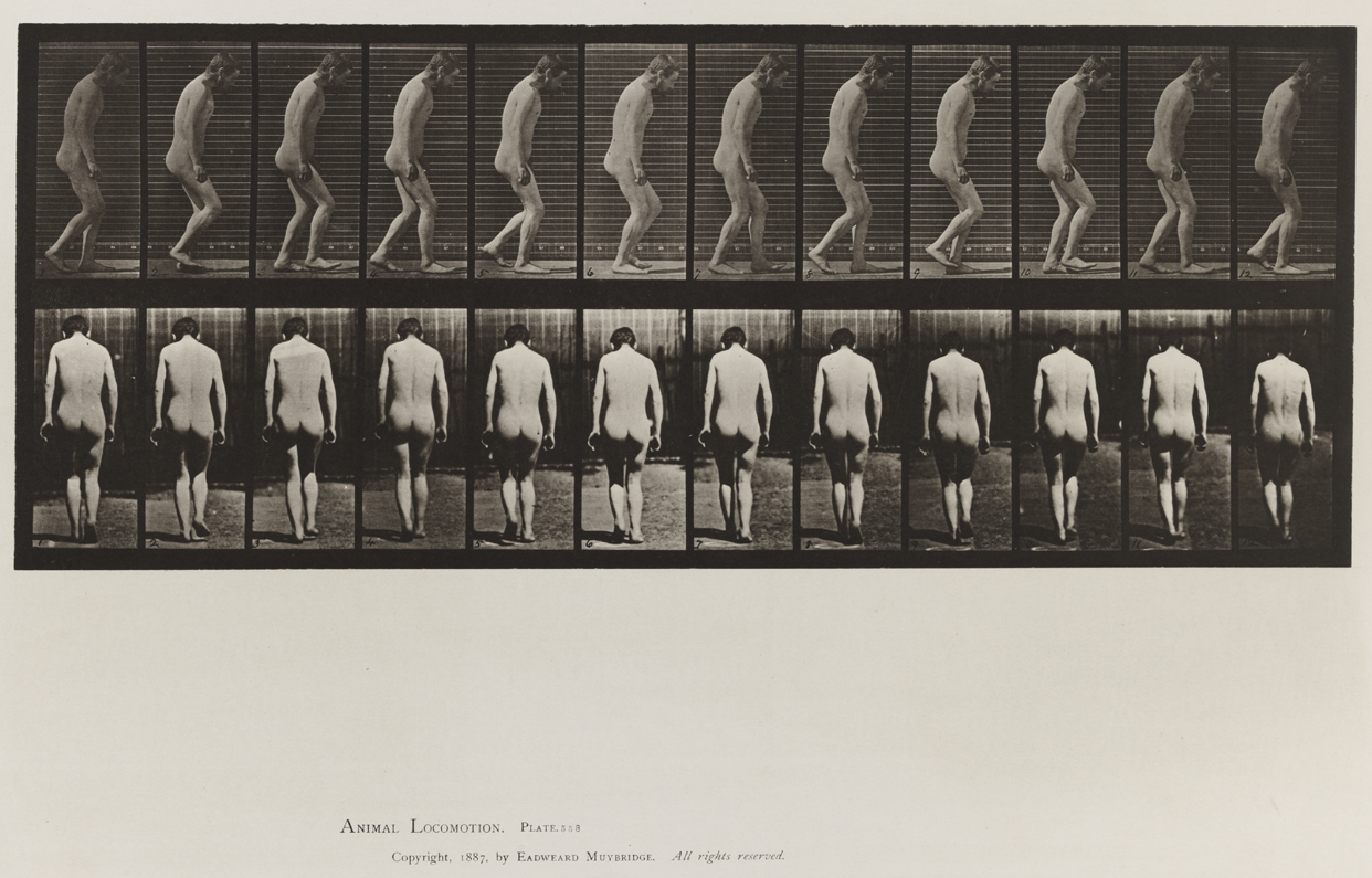 Animal Locomotion, Volume VIII, Abnormal Movements, Men and Women (Nude and Semi-Nude). Plate 558