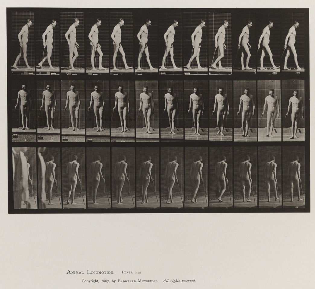 Animal Locomotion, Volume VIII, Abnormal Movements, Men and Women (Nude and Semi-Nude). Plate 559