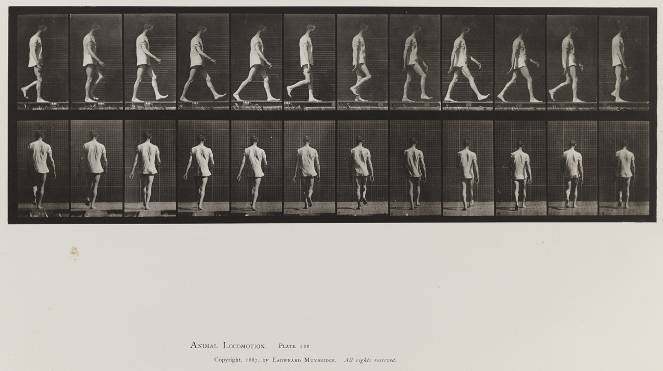 Animal Locomotion, Volume VIII, Abnormal Movements, Men and Women (Nude and Semi-Nude). Plate 560