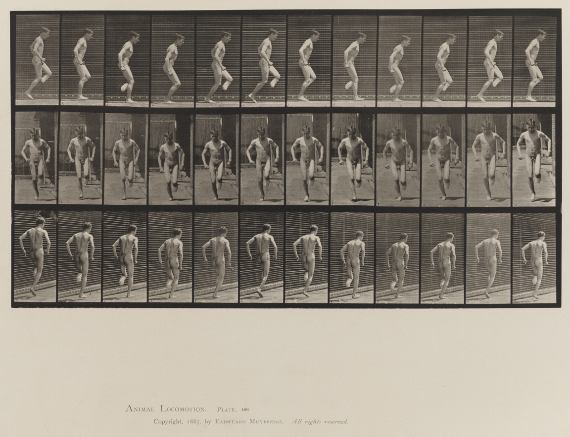 Animal Locomotion, Volume VIII, Abnormal Movements, Men and Women (Nude and Semi-Nude). Plate 186
