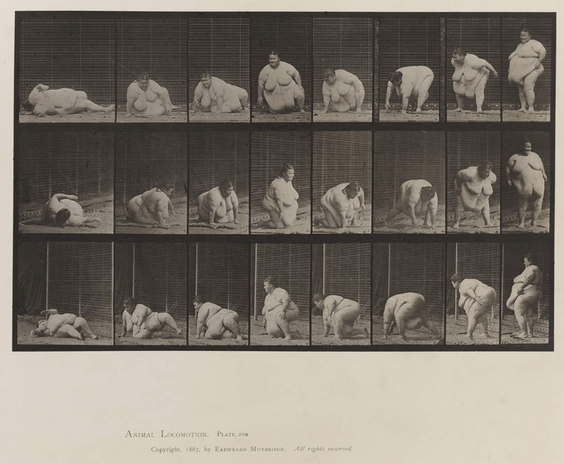 Animal Locomotion, Volume VIII, Abnormal Movements, Men and Women (Nude and Semi-Nude). Plate 268