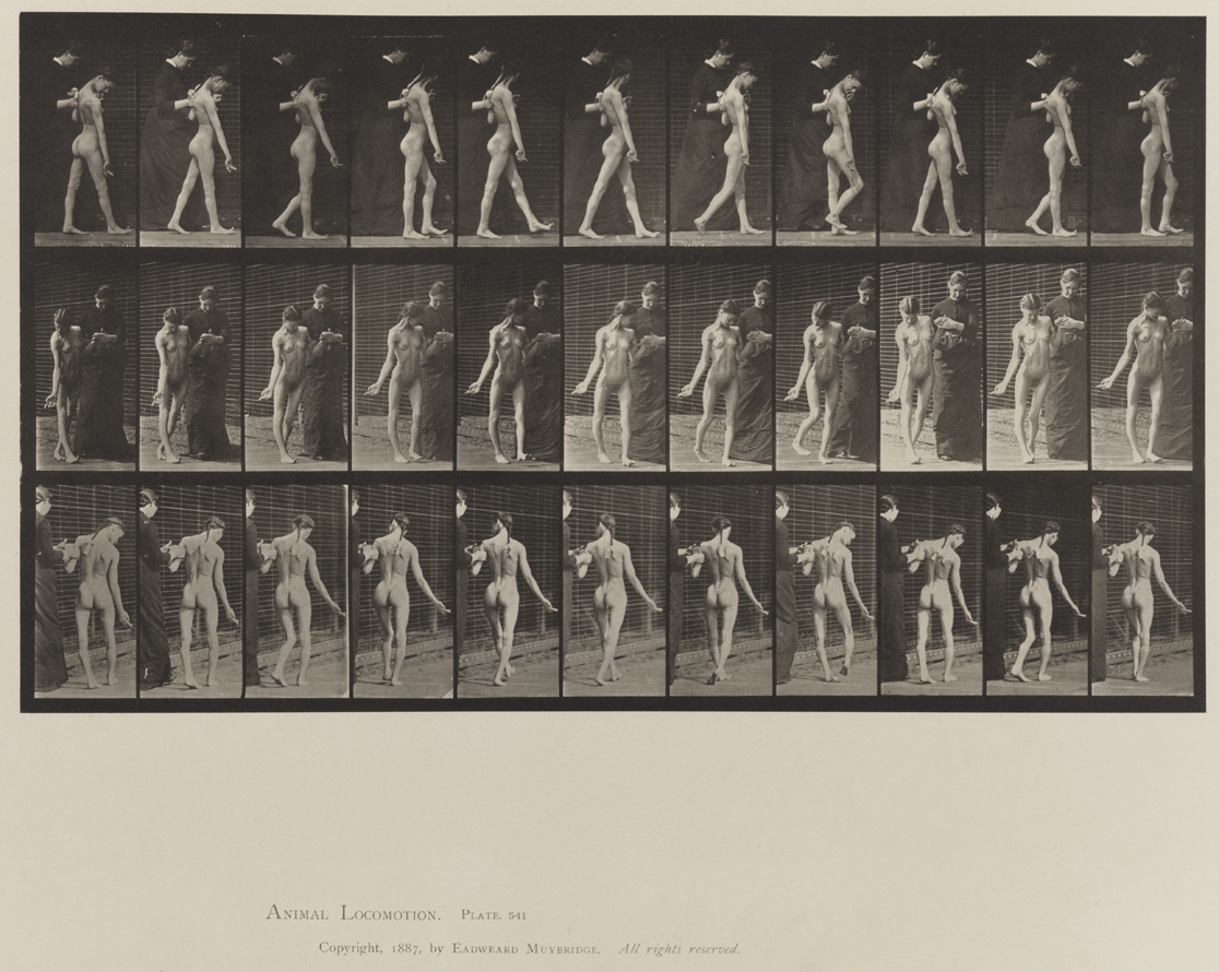 Animal Locomotion, Volume VIII, Abnormal Movements, Men and Women (Nude and Semi-Nude). Plate 541