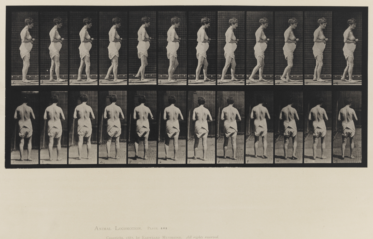 Animal Locomotion, Volume VIII, Abnormal Movements, Men and Women (Nude and Semi-Nude). Plate 542