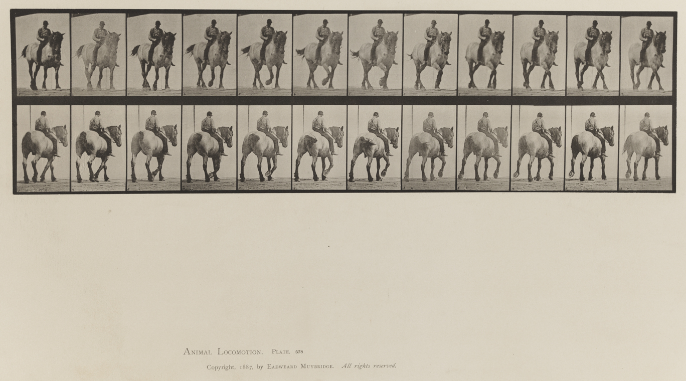 Animal Locomotion, Volume IX, Horses. Plate 578