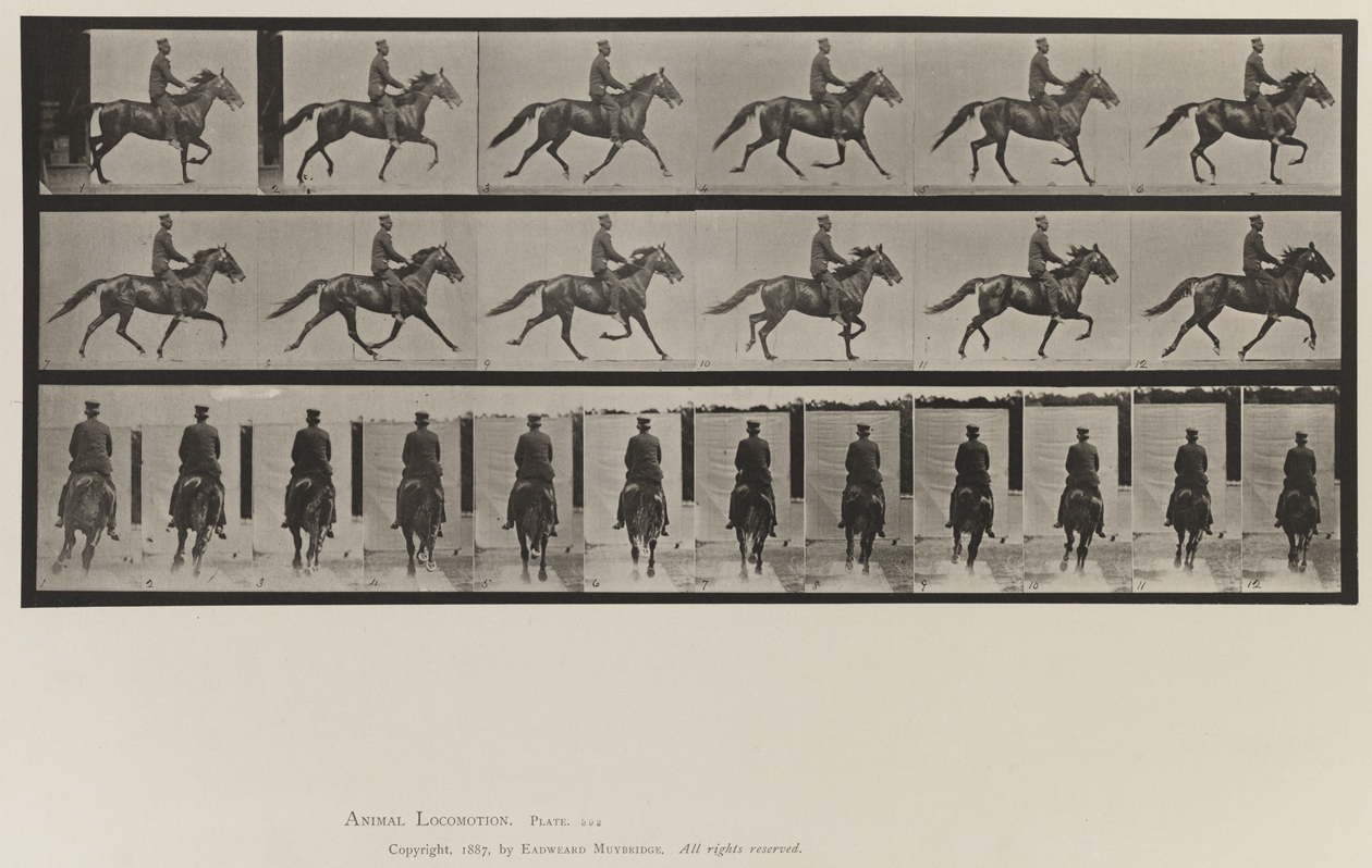 Animal Locomotion, Volume IX, Horses. Plate 592