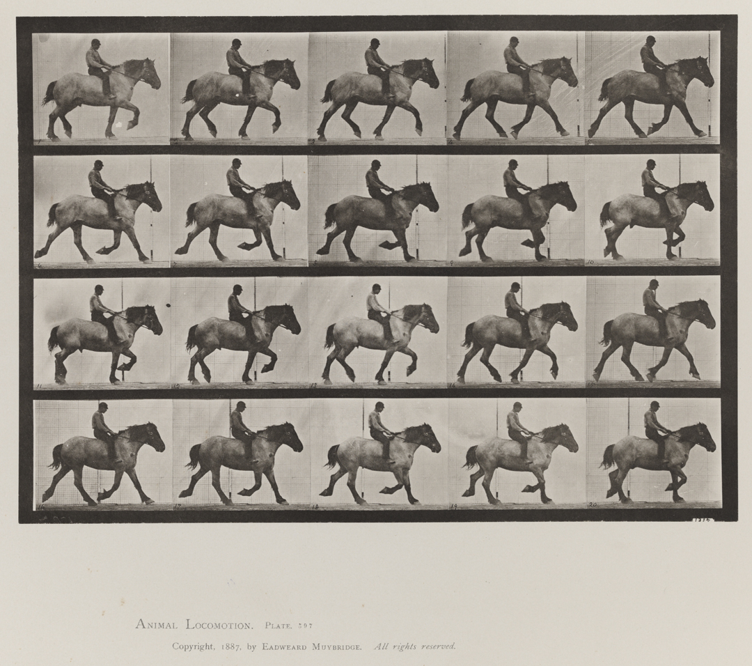 Animal Locomotion, Volume IX, Horses. Plate 597