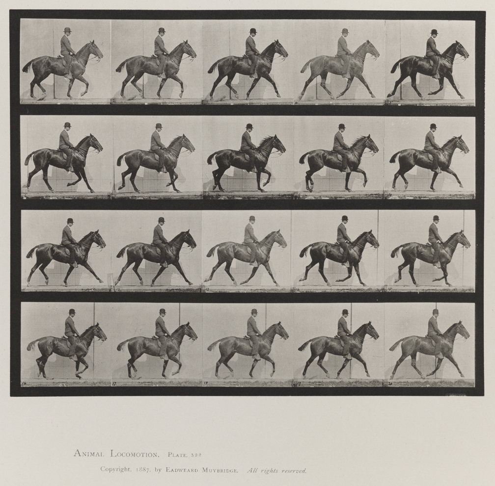 Animal Locomotion, Volume IX, Horses. Plate 598