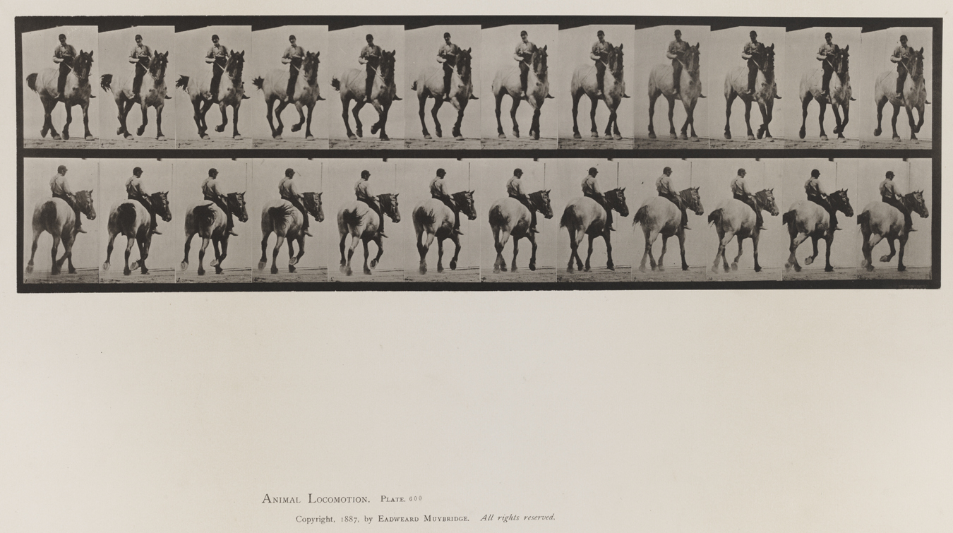 Animal Locomotion, Volume IX, Horses. Plate 600