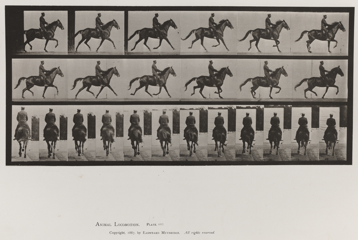 Animal Locomotion, Volume IX, Horses. Plate 601
