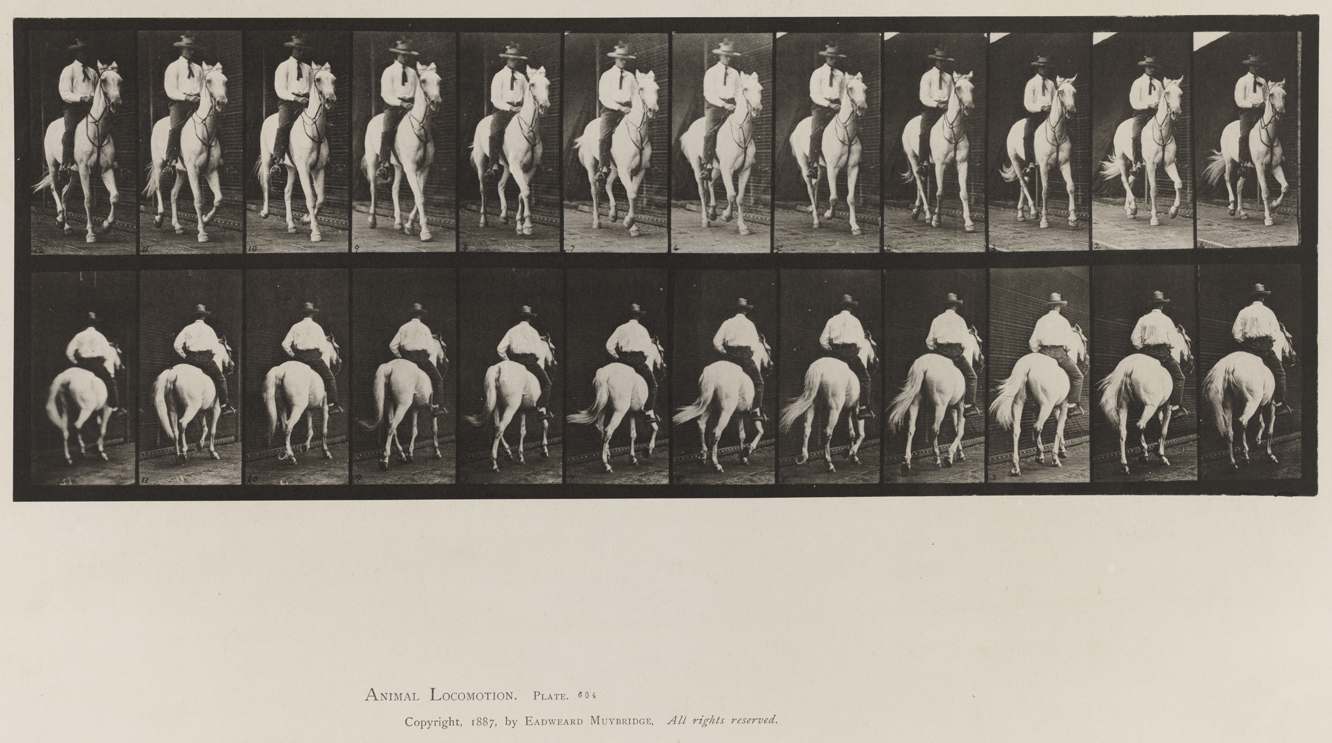 Animal Locomotion, Volume IX, Horses. Plate 604