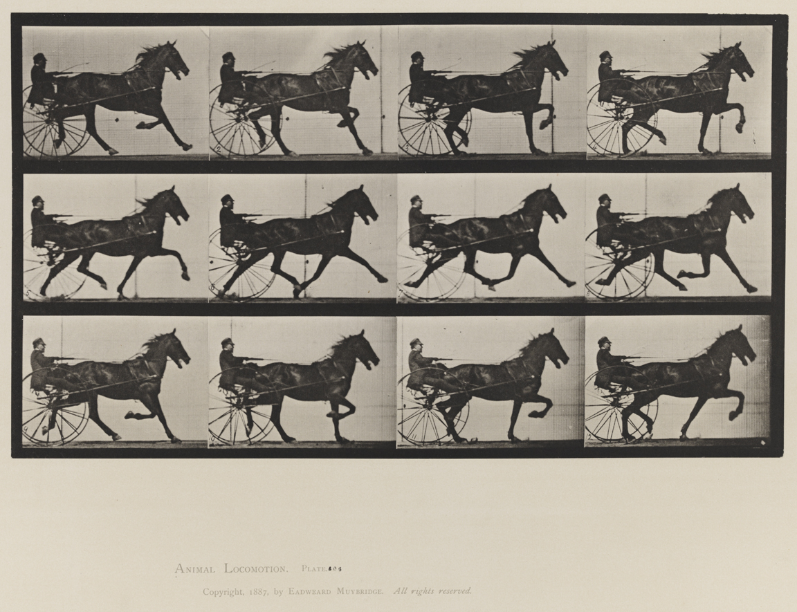 Animal Locomotion, Volume IX, Horses. Plate 606