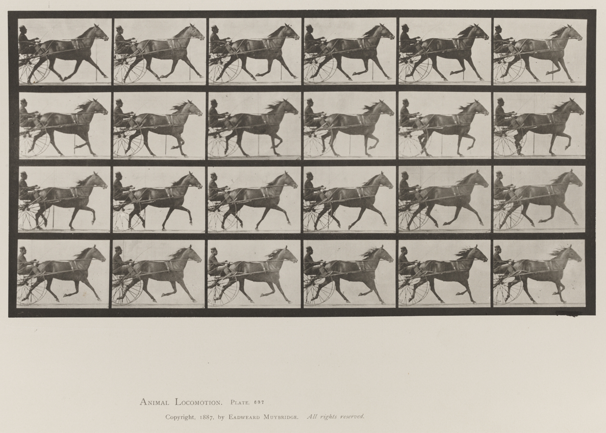 Animal Locomotion, Volume IX, Horses. Plate 607