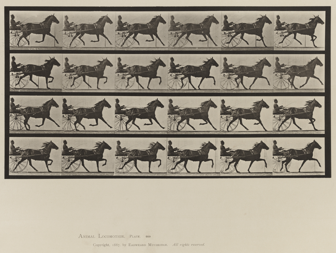 Animal Locomotion, Volume IX, Horses. Plate 609