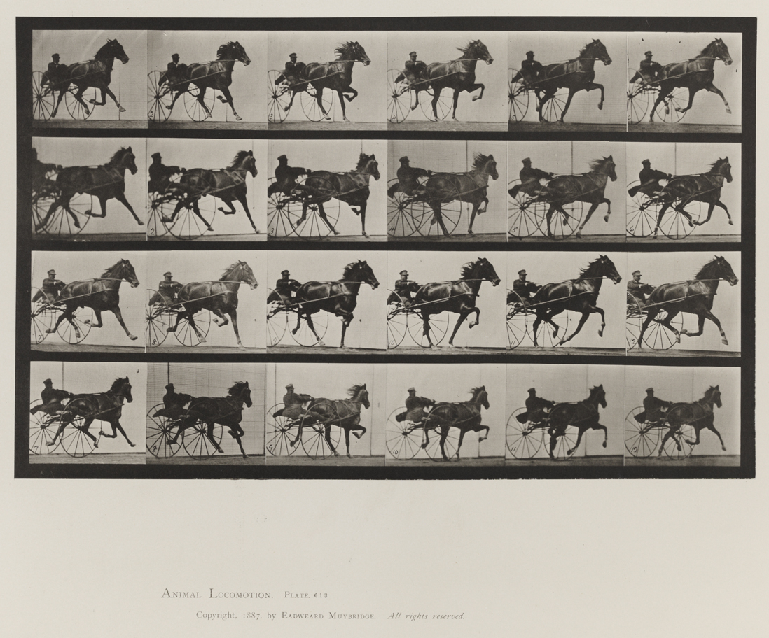Animal Locomotion, Volume IX, Horses. Plate 613