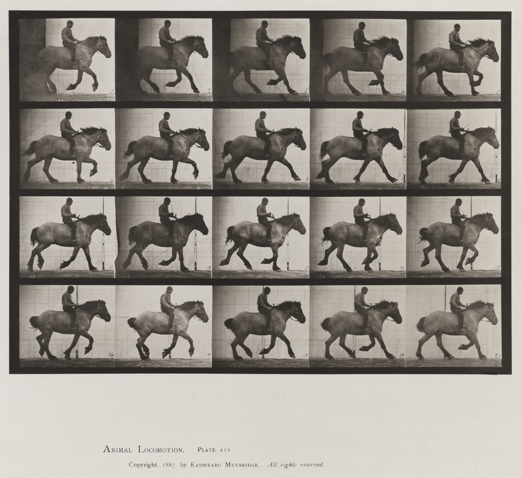 Animal Locomotion, Volume IX, Horses. Plate 615